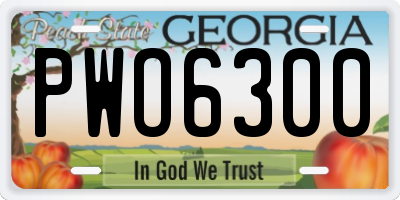 GA license plate PWO6300
