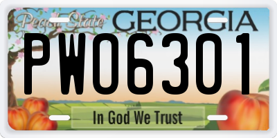 GA license plate PWO6301