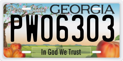 GA license plate PWO6303
