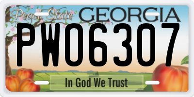 GA license plate PWO6307