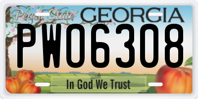 GA license plate PWO6308