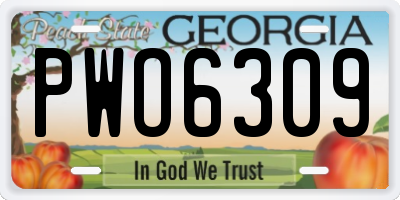 GA license plate PWO6309
