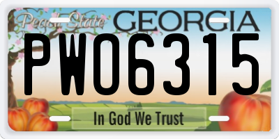 GA license plate PWO6315
