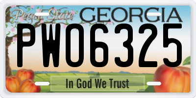 GA license plate PWO6325
