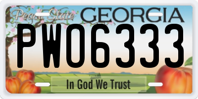 GA license plate PWO6333