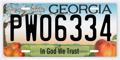 GA license plate PWO6334