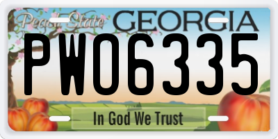 GA license plate PWO6335