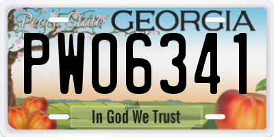 GA license plate PWO6341