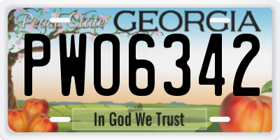 GA license plate PWO6342