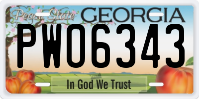 GA license plate PWO6343