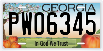 GA license plate PWO6345