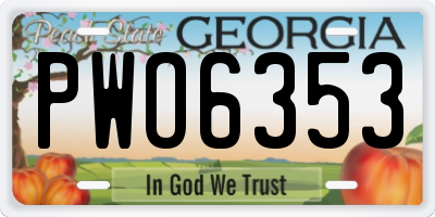 GA license plate PWO6353