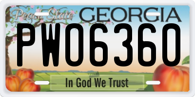 GA license plate PWO6360