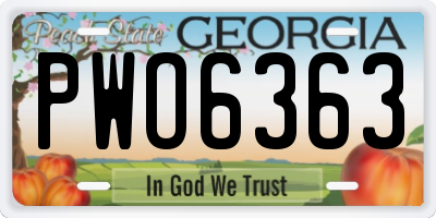 GA license plate PWO6363
