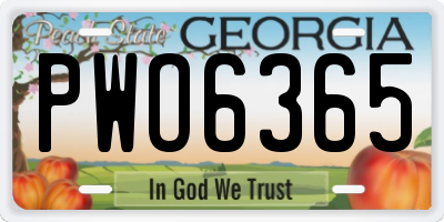 GA license plate PWO6365
