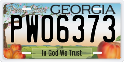 GA license plate PWO6373