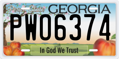 GA license plate PWO6374