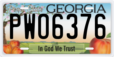 GA license plate PWO6376