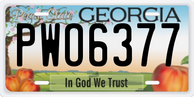 GA license plate PWO6377