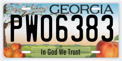 GA license plate PWO6383