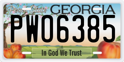 GA license plate PWO6385