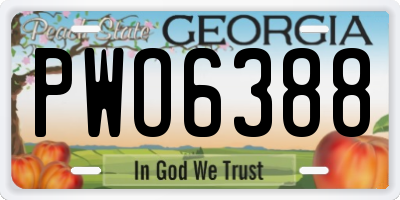 GA license plate PWO6388