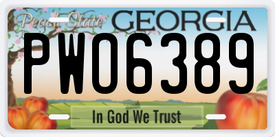 GA license plate PWO6389