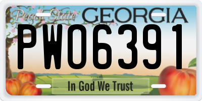GA license plate PWO6391