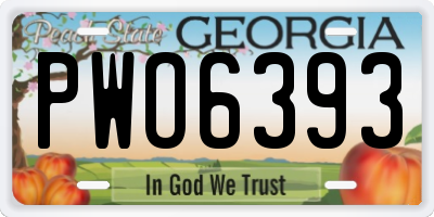 GA license plate PWO6393