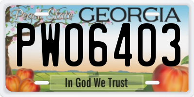GA license plate PWO6403