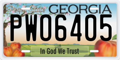 GA license plate PWO6405