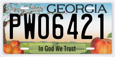 GA license plate PWO6421