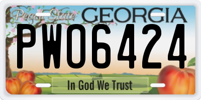 GA license plate PWO6424