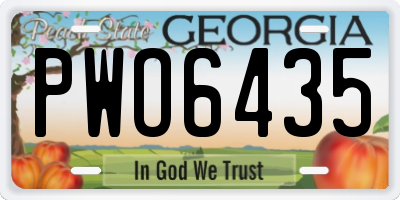 GA license plate PWO6435