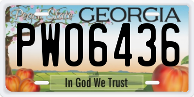GA license plate PWO6436