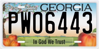 GA license plate PWO6443