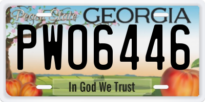 GA license plate PWO6446