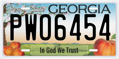 GA license plate PWO6454