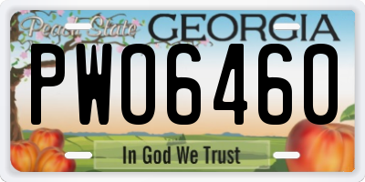 GA license plate PWO6460