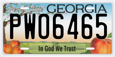GA license plate PWO6465