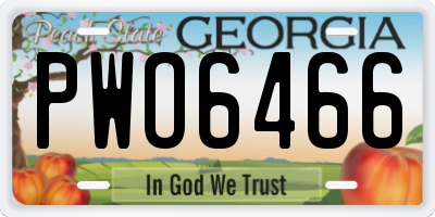 GA license plate PWO6466