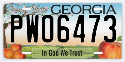 GA license plate PWO6473