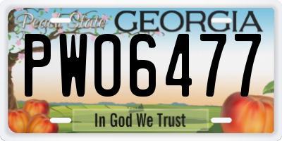 GA license plate PWO6477