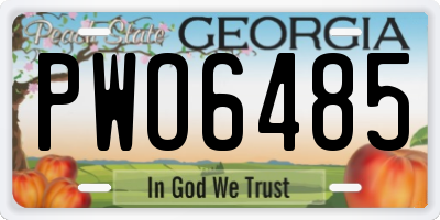 GA license plate PWO6485