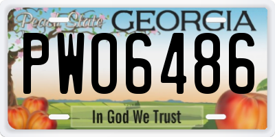 GA license plate PWO6486