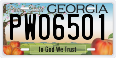 GA license plate PWO6501