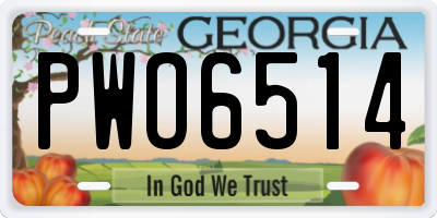 GA license plate PWO6514