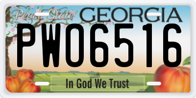 GA license plate PWO6516