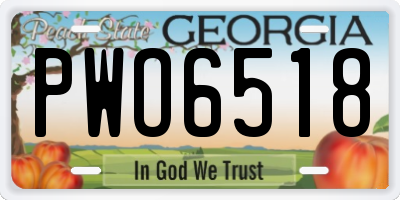 GA license plate PWO6518