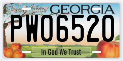 GA license plate PWO6520